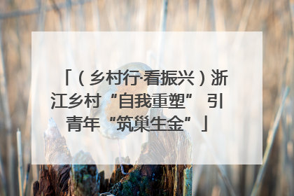 （乡村行·看振兴）浙江乡村“自我重塑” 引青年“筑巢生金”