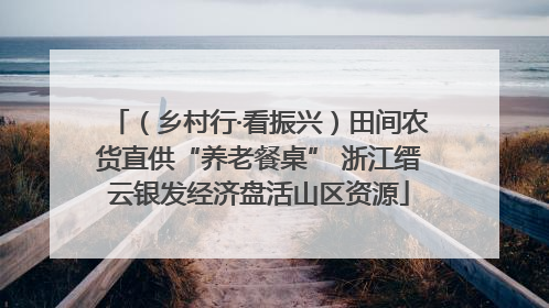 （乡村行·看振兴）田间农货直供“养老餐桌” 浙江缙云银发经济盘活山区资源