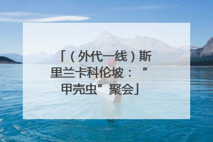 （外代一线）斯里兰卡科伦坡：“甲壳虫”聚会