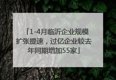 1-4月临沂企业规模扩张提速，过亿企业较去年同期增加55家