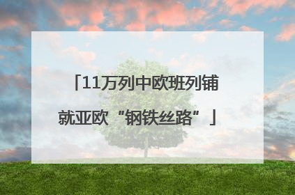 11万列中欧班列铺就亚欧“钢铁丝路”