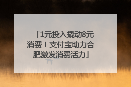 1元投入撬动8元消费！支付宝助力合肥激发消费活力
