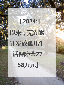 2024年以来，芜湖累计发放孤儿生活保障金2758万元
