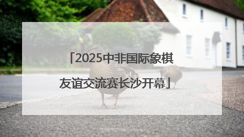 2025中非国际象棋友谊交流赛长沙开幕
