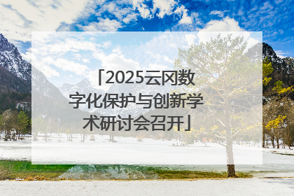2025云冈数字化保护与创新学术研讨会召开