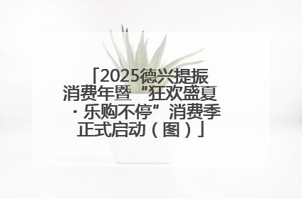 2025德兴提振消费年暨“狂欢盛夏・乐购不停”消费季正式启动（图）