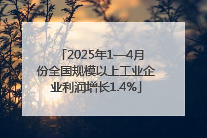 2025年1—4月份全国规模以上工业企业利润增长1.4%