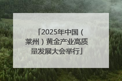 2025年中国（莱州）黄金产业高质量发展大会举行