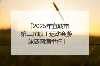 2025年宜城市第二届职工运动会游泳赛圆满举行