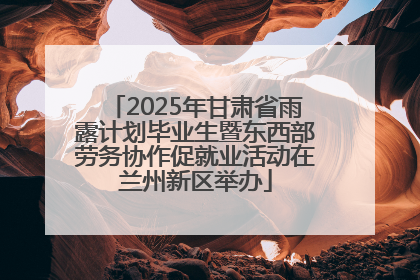 2025年甘肃省雨露计划毕业生暨东西部劳务协作促就业活动在兰州新区举办