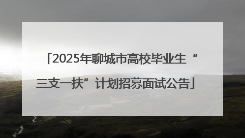 2025年聊城市高校毕业生“三支一扶”计划招募面试公告