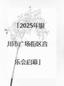 2025年银川市广场街区音乐会启幕
