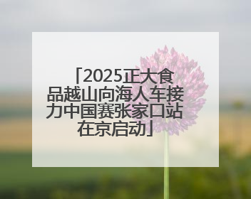 2025正大食品越山向海人车接力中国赛张家口站在京启动