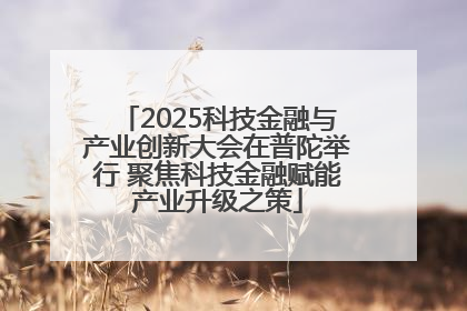 2025科技金融与产业创新大会在普陀举行 聚焦科技金融赋能产业升级之策