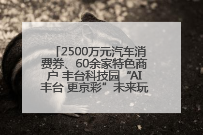 2500万元汽车消费券、60余家特色商户 丰台科技园“AI丰台 更京彩”未来玩家市集活动正式开幕