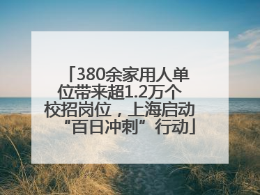 380余家用人单位带来超1.2万个校招岗位，上海启动“百日冲刺”行动