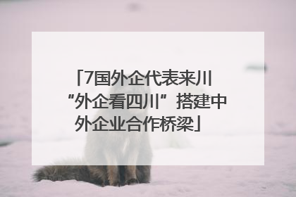 7国外企代表来川 “外企看四川”搭建中外企业合作桥梁