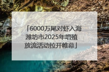 6000万尾对虾入海 潍坊市2025年增殖放流活动拉开帷幕