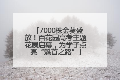 7000株金葵盛放！百花园高考主题花展启幕，为学子点亮“魁首之路”