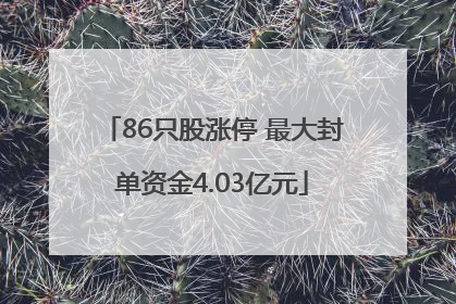 86只股涨停 最大封单资金4.03亿元