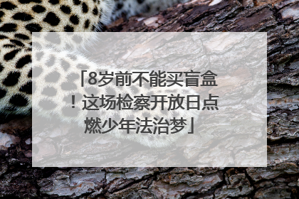 8岁前不能买盲盒！这场检察开放日点燃少年法治梦