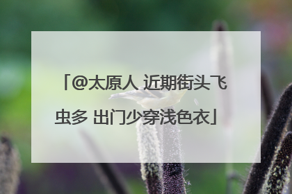 @太原人 近期街头飞虫多 出门少穿浅色衣