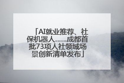 AI就业推荐、社保机器人……成都首批73项人社领域场景创新清单发布