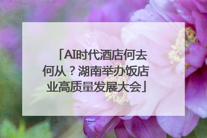 AI时代酒店何去何从？湖南举办饭店业高质量发展大会
