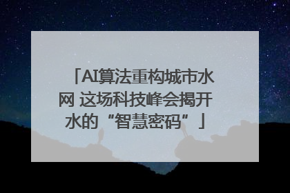 AI算法重构城市水网 这场科技峰会揭开水的“智慧密码”