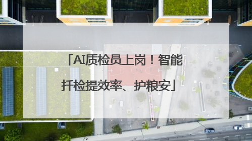AI质检员上岗！智能扦检提效率、护粮安
