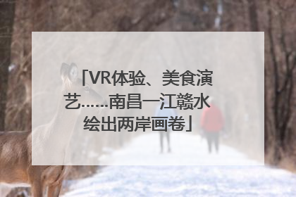 VR体验、美食演艺……南昌一江赣水绘出两岸画卷